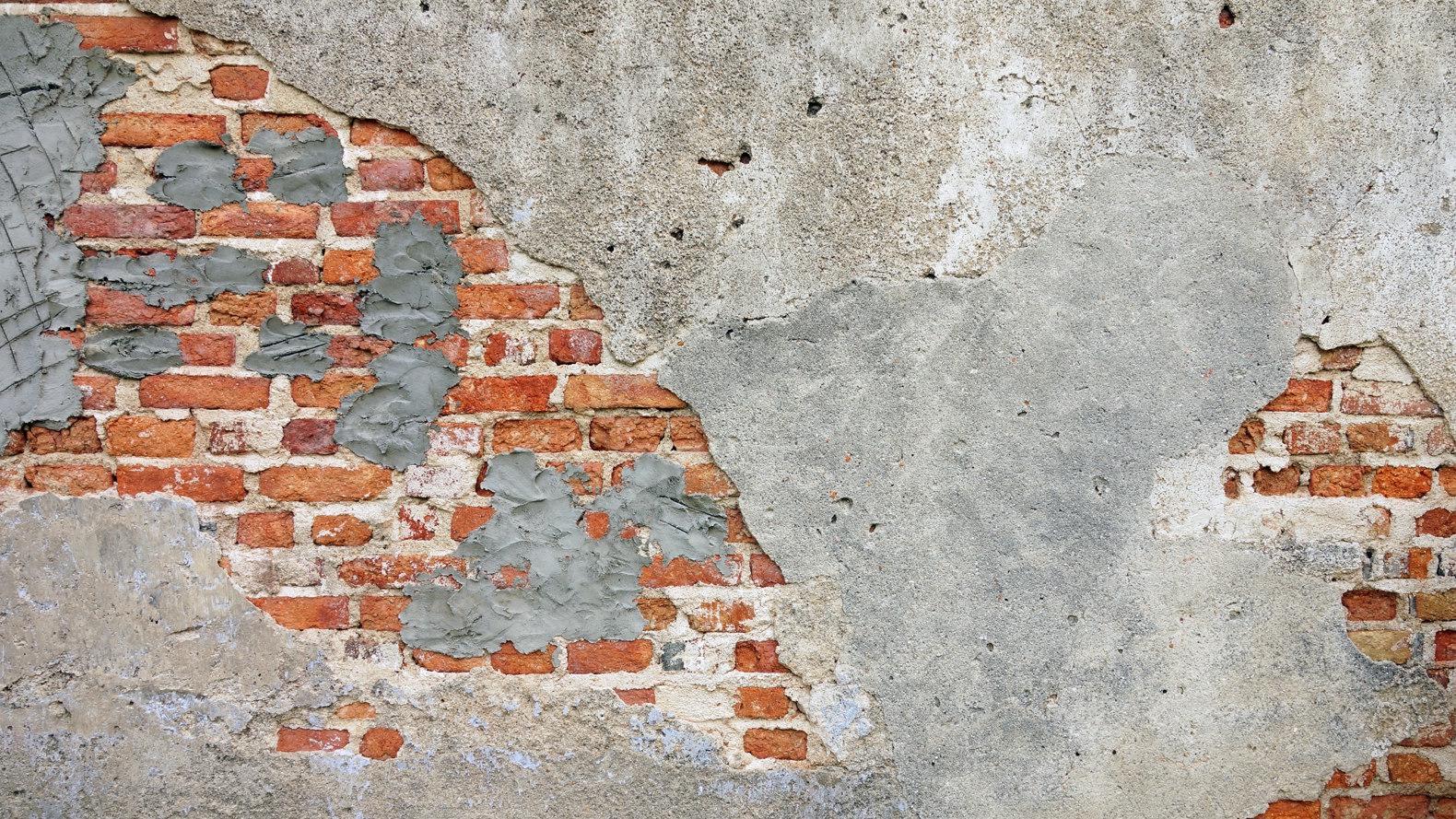 Dave Webb Ny7udrl2lzy Unsplash