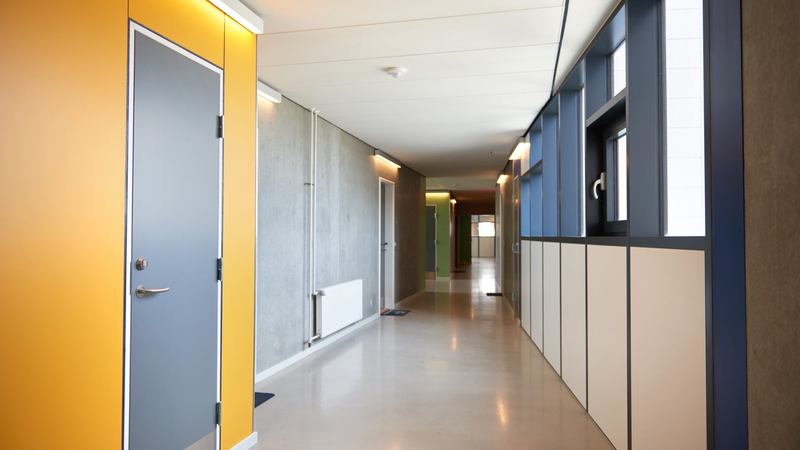 Cortex Park Gul Gang