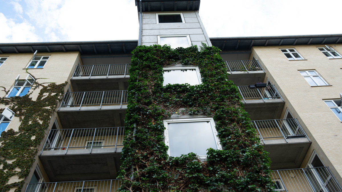 6 Hus Uden Mennesker